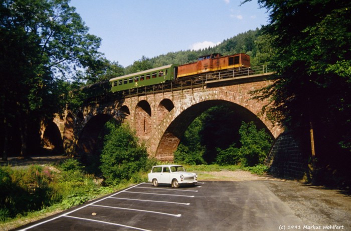 Hohleborn 1991