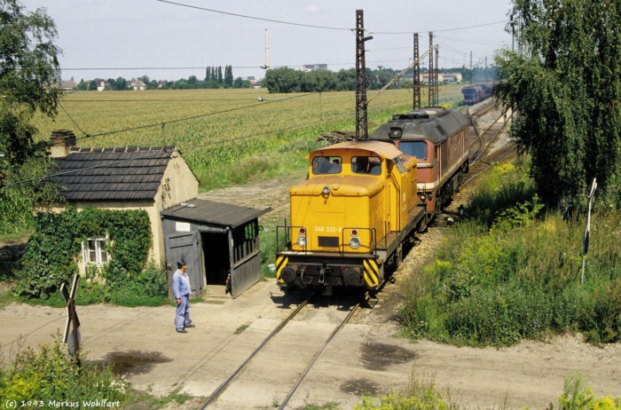 Mumsdorf 1993